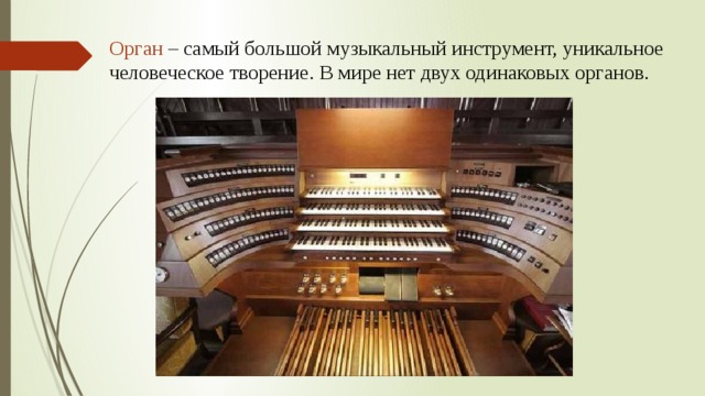 Орган – самый большой музыкальный инструмент, уникальное человеческое творение. В мире нет двух одинаковых органов.