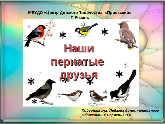 МБУДО «Центр Детского Творчества «Приокский» Г. Рязань Наши пернатые друзья Подготовила: Педагог дополнительного Образования Сорокина Л.В.