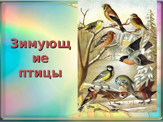 Зимующие птицы