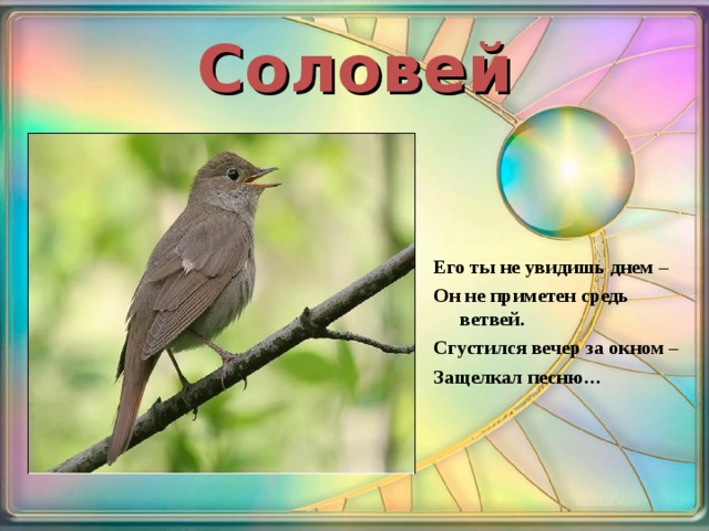 Соловей Его ты не увидишь днем – Он не приметен средь ветвей. Сгустился вечер за окном – Защелкал песню…