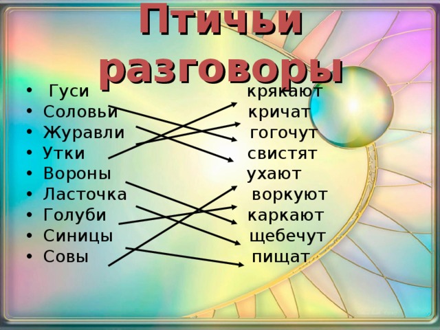 Птичьи разговоры