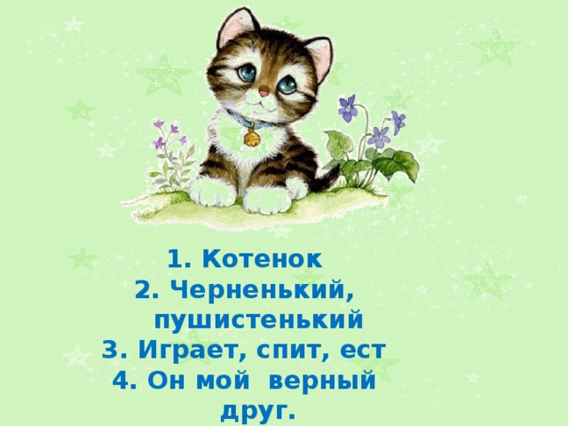 1. Котенок 2. Черненький, пушистенький 3. Играет, спит, ест 4. Он мой верный друг. 5. Животное.