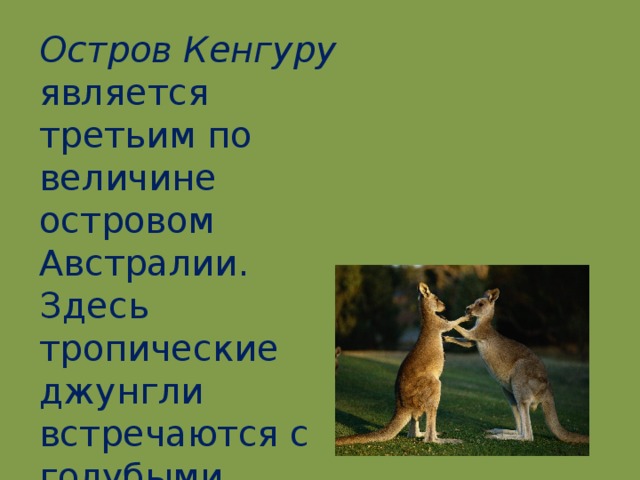 Остров Кенгуру является третьим по величине островом Австралии. Здесь тропические джунгли встречаются с голубыми водами Тихого океана .