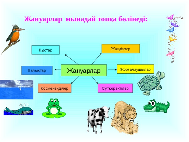 Жануарлар мынадай топқа бөлінеді:  Жәндіктер Құстар Жануарлар Жорғалаушылар Балықтар Қосмекенділер Сүтқоректілер