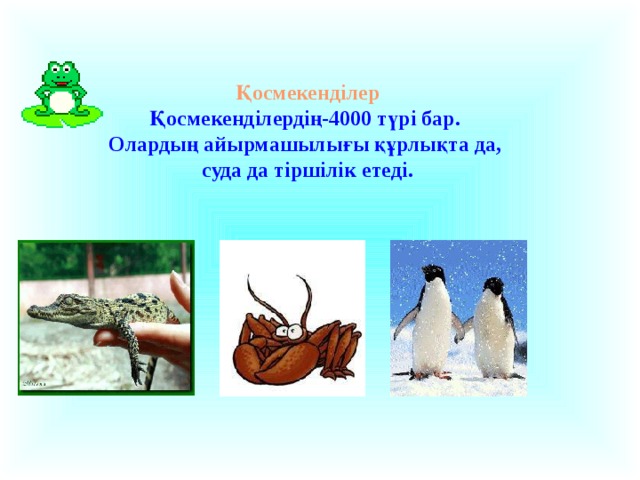 Қосмекенділер Қосмекенділердің-4000 түрі бар. Олардың айырмашылығы құрлықта да, суда да тіршілік етеді.