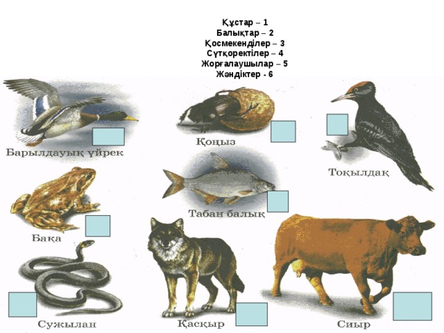 Құстар – 1  Балықтар – 2  Қосмекенділер – 3  Сүтқоректілер – 4  Жорғалаушылар – 5  Жәндіктер - 6