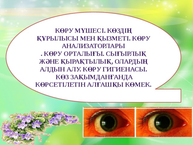 Көру мүшесі. Көздің құрылысы мен қызметі. Көру анализаторлары . Көру орталығы. Сығырлық және қырақтылық, олардың алдын алу. Көру гигиенасы.  Көз зақымданғанда көрсетілетін алғашқы көмек.