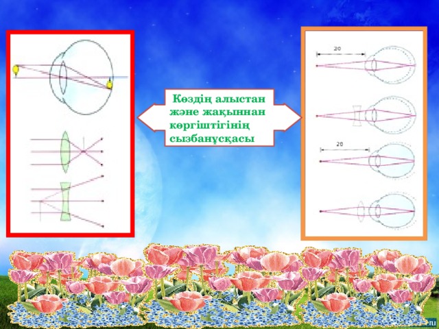 Көздің алыстан және жақыннан көргіштігінің сызбанұсқасы