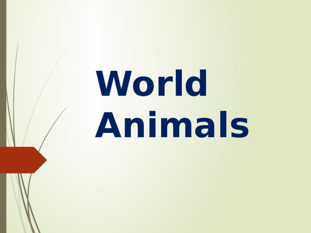 World Animals