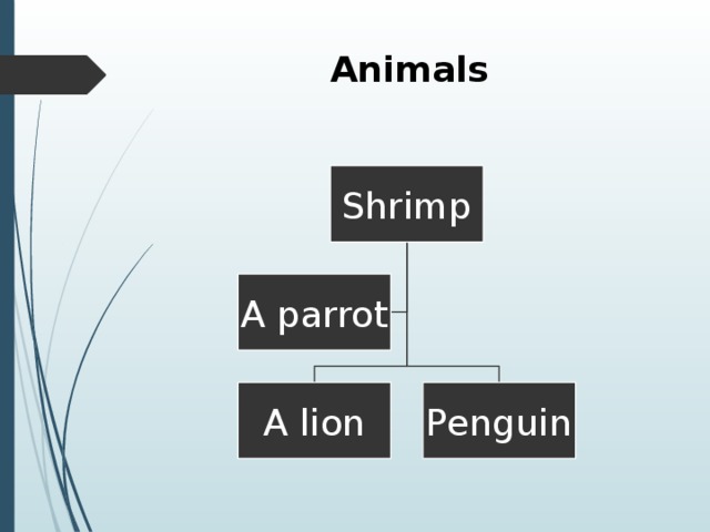 Animals Shrimp A parrot A lion Penguin