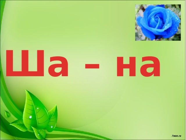 Ша – на