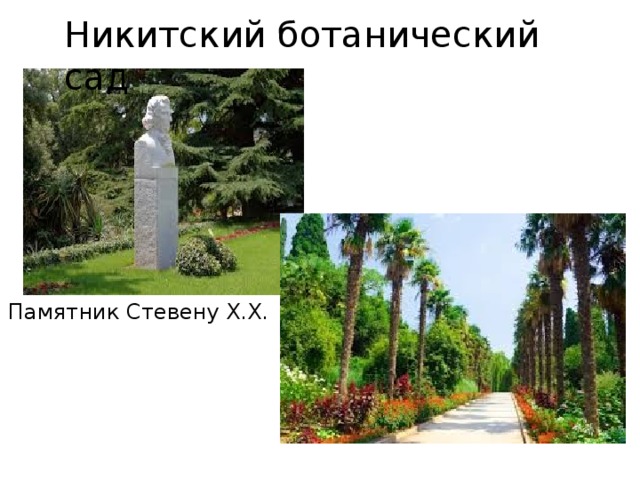 Никитский ботанический са Д Памятник Стевену Х.Х.