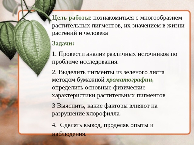 Цель работы : познакомиться с многообразием растительных пигментов, их значением в жизни растений и человека Задачи: 1. Провести анализ различных источников по проблеме исследования. 2. Выделить пигменты из зеленого листа методом бумажной хроматографии,  определить основные физические характеристики растительных пигментов 3 Выяснить, какие факторы влияют на разрушение хлорофилла. 4. Сделать вывод, проделав опыты и наблюдения.