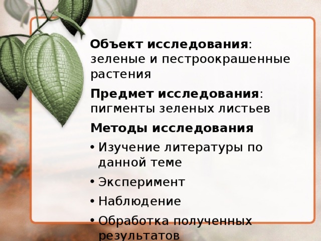 Объект исследования : зеленые и пестроокрашенные растения Предмет исследования : пигменты зеленых листьев Методы исследования