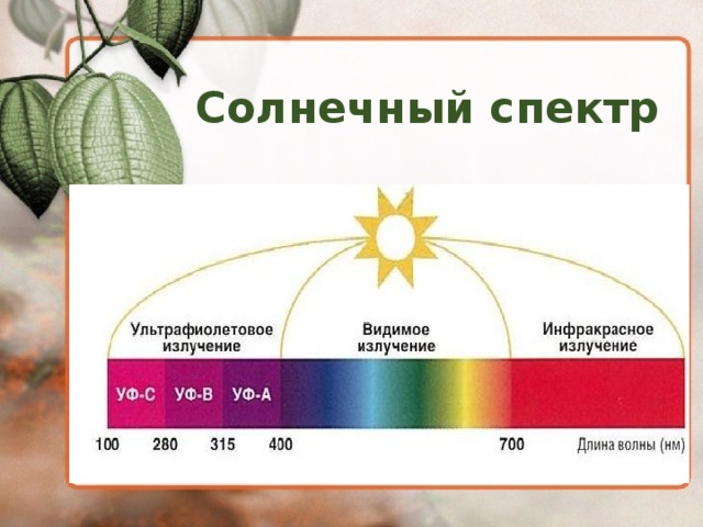 Солнечный спектр