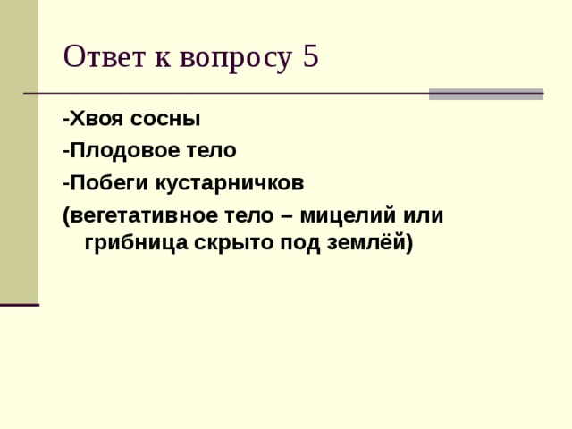 -Хвоя сосны -Плодовое тело -Побеги кустарничков (вегетативное тело – мицелий или грибница скрыто под землёй)