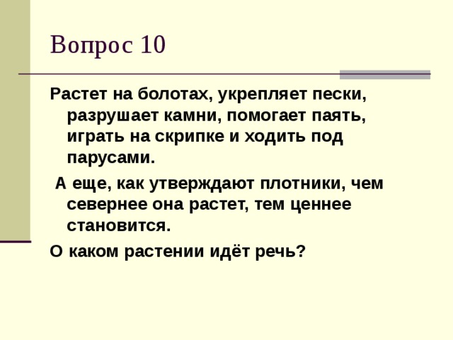 Растет на болотах, укрепляет пески, разрушает камни, помогает паять, играть на скрипке и ходить под парусами.  А еще, как утверждают плотники, чем севернее она растет, тем ценнее становится. О каком растении идёт речь?