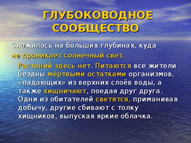 Для жизни на больших глубинах. Организмы глубоководного сообщества. Глубоководное сообщество обитатели. Жители глубоководного сообщества. Обитатели глубоководного сообщества воды.