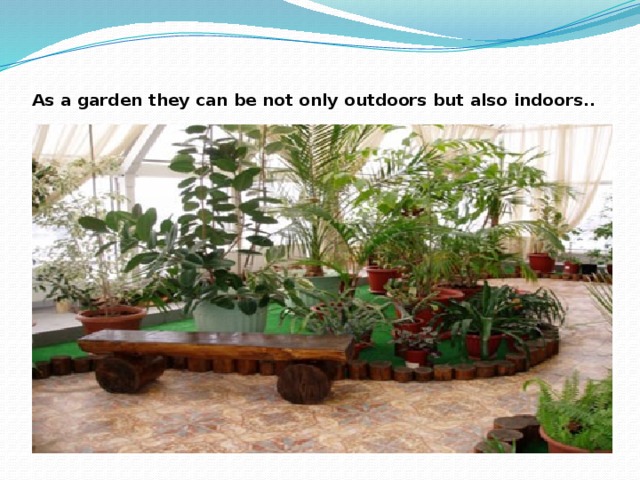 As a garden they can be not only outdoors but also indoors..