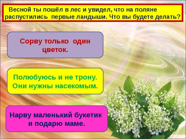 Весной ты пошёл в лес и увидел, что на поляне распустились первые ландыши. Что вы будете делать? Сорву только один цветок. Полюбуюсь и не трону. Они нужны насекомым. Нарву маленький букетик и подарю маме.