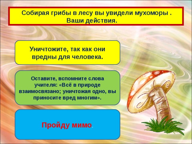 Собирая грибы в лесу вы увидели мухоморы .  Ваши действия. Уничтожите, так как они вредны для человека. Оставите, вспомните слова учителя: «Всё в природе взаимосвязано; уничтожая одно, вы приносите вред многим». Пройду мимо .