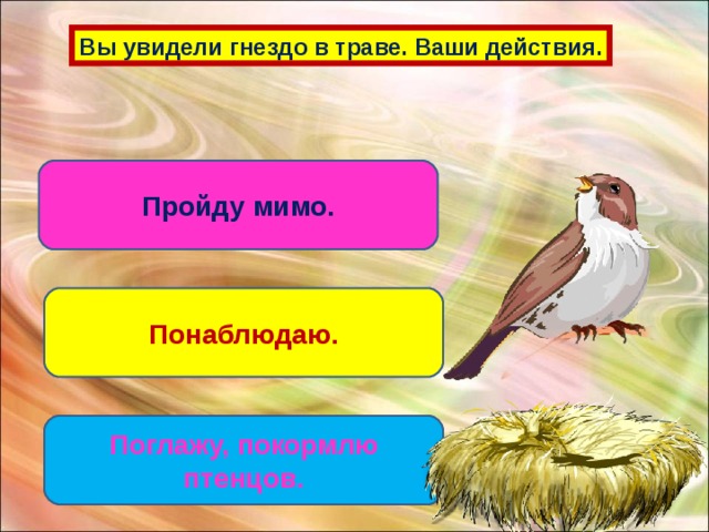 Вы увидели гнездо в траве. Ваши действия. Пройду мимо. Понаблюдаю. Поглажу, покормлю птенцов.