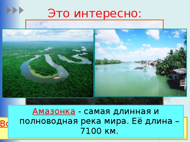 Это интересно: Амазонка - самая длинная и полноводная река мира. Её длина – 7100 км. Водопад Анхель - самый высокий в мире водопад, общая высота - 979 метров.