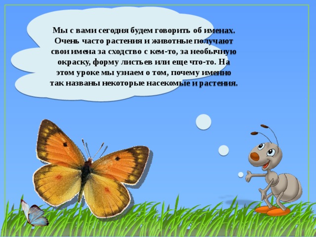 Мы с вами сегодня будем говорить об именах. Очень часто растения и животные получают свои имена за сходство с кем-то, за необычную окраску, форму листьев или еще что-то. На этом уроке мы узнаем о том, почему именно так названы некоторые насекомые и растения.