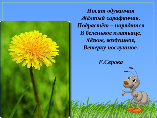 Носит одуванчик Жёлтый сарафанчик. Подрастёт – нарядится В беленькое платьице, Лёгкое, воздушное, Ветерку послушное.  Е.Серова