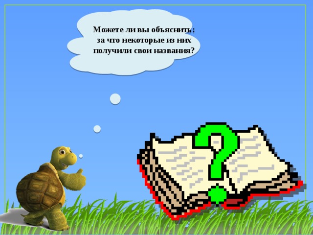 Можете ли вы объяснить: за что некоторые из них получили свои названия?