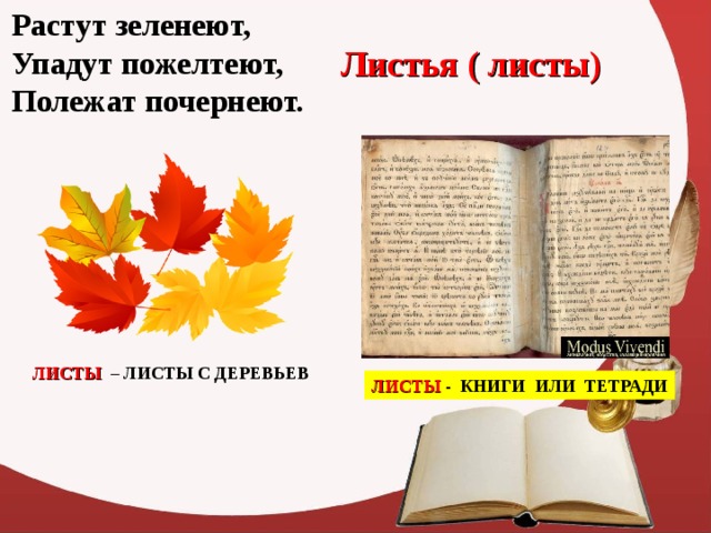 Растут зеленеют,  Упадут пожелтеют,  Полежат почернеют. Листья ( листы) ЛИСТЫ – ЛИСТЫ С ДЕРЕВЬЕВ ЛИСТЫ - КНИГИ ИЛИ ТЕТРАДИ