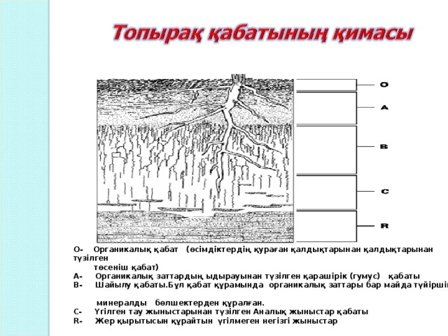 О- Органикалық қабат (өсімдіктердің қураған қалдықтарынан қалдықтарынан түзілген  төсеніш қабат) А- Органикалық заттардың ыдырауынан түзілген қарашірік (гумус) қабаты В- Шайылу қабаты.Бұл қабат құрамында органикалық заттары бар майда түйіршікті  минералды бөлшектерден құралған. С- Үгілген тау жыныстарынан түзілген Аналық жыныстар қабаты R- Жер қырытысын құрайтын үгілмеген негізгі жыныстар