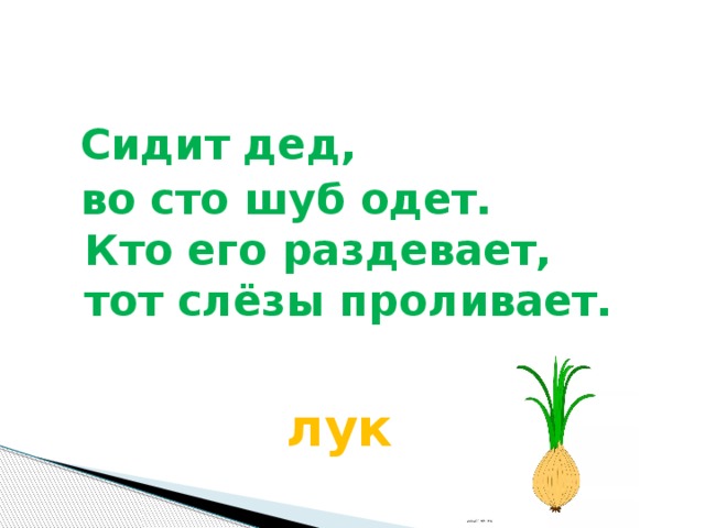 Сидит дед,  во сто шуб одет.  Кто его раздевает,  тот слёзы проливает.   лук