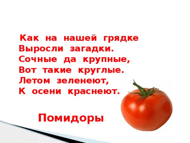 Как на нашей грядке выросли. Загадка про помидор для детей. Томат загадка. Загадка про помидор. Загадка про томат для детей.