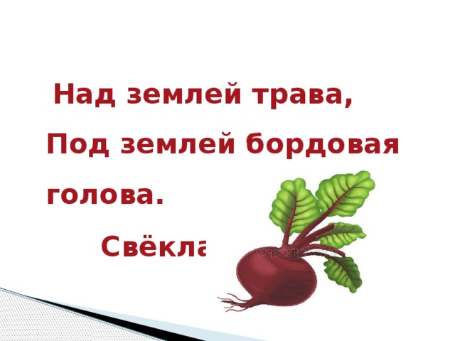 Над землей трава,  Под землей бордовая голова.  Свёкла