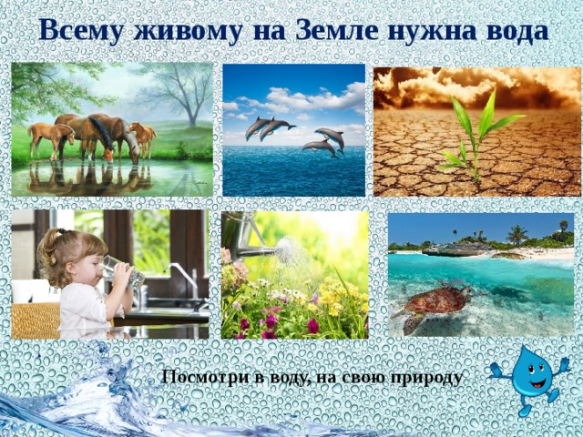 Всему живому на Земле нужна вода Посмотри в воду, на свою природу