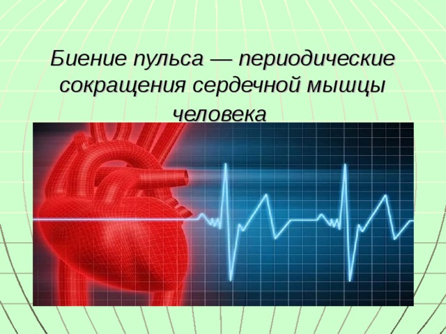 Биение пульса — периодические сокращения сердечной мышцы человека