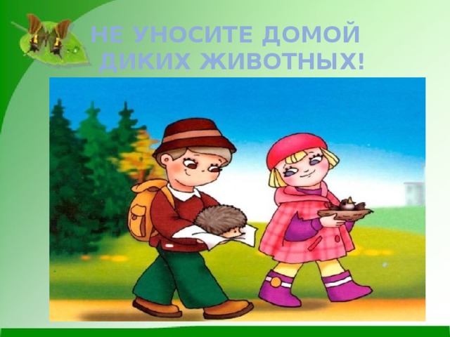 Не уносите домой  диких животных!