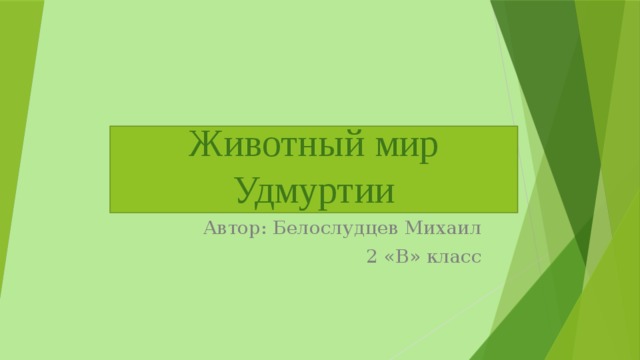 Животный мир Удмуртии Автор: Белослудцев Михаил 2 «В» класс