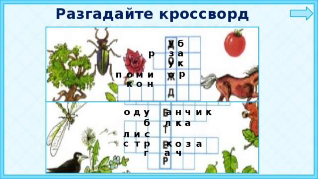 Разгадайте кроссворд у б р з а у к р п о м и о к о н у и д к а ч о н л б к а и с л с р к т о з а г а ч