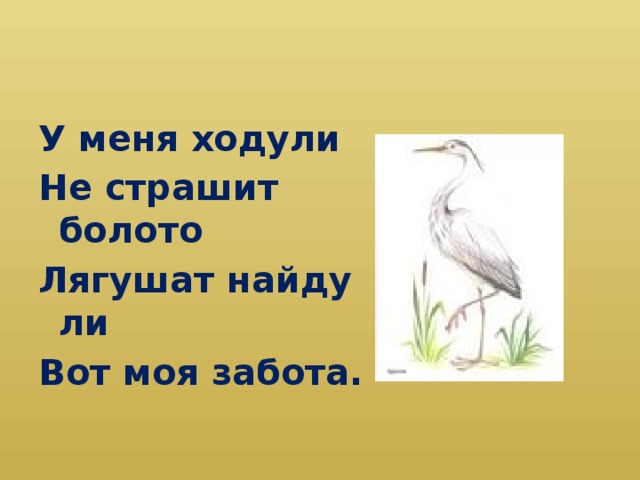 У меня ходули Не страшит болото Лягушат найду ли Вот моя забота.