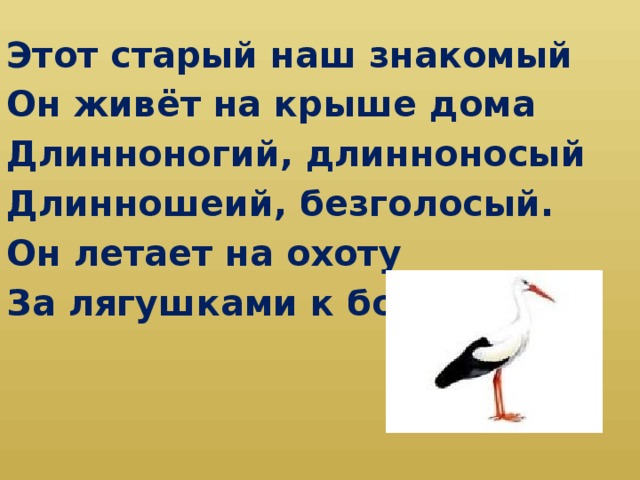 Этот старый наш знакомый Он живёт на крыше дома Длинноногий, длинноносый Длинношеий, безголосый. Он летает на охоту За лягушками к болоту.