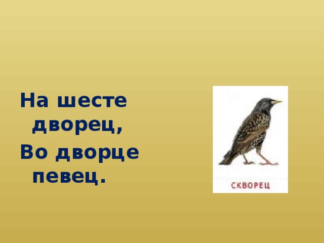 На шесте дворец, Во дворце певец.