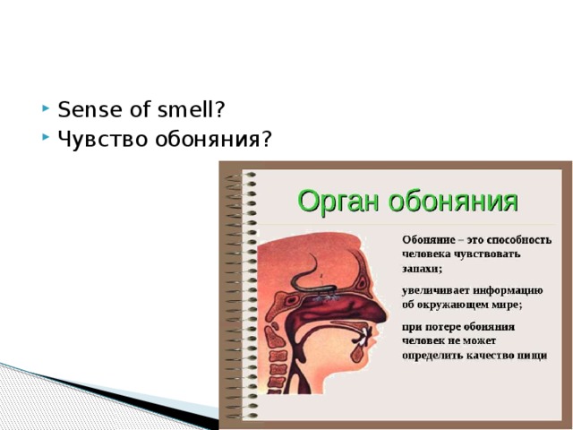 Sense of smell? Чувство обоняния?