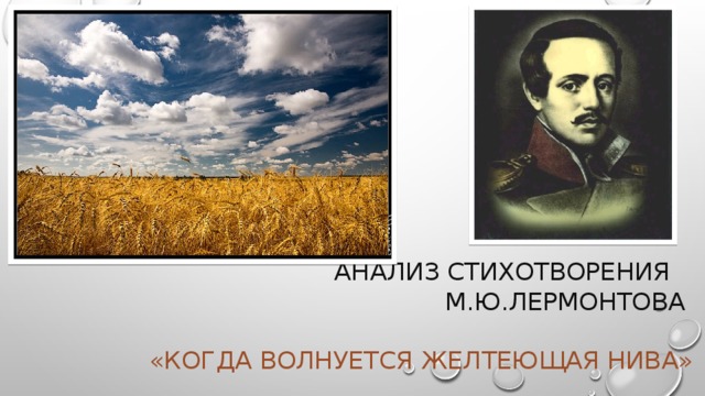 Анализ стихотворения М.Ю.Лермонтова   «Когда волнуется желтеющая нива»