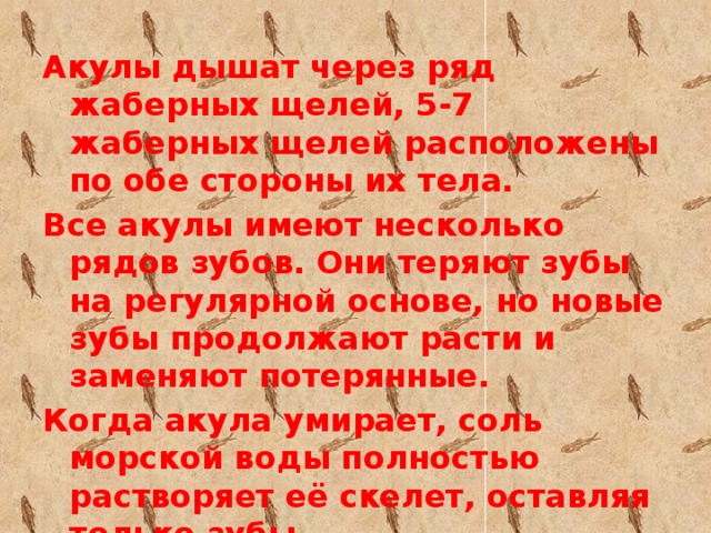 Акулы дышат через ряд жаберных щелей, 5-7 жаберных щелей расположены по обе стороны их тела. Все акулы имеют несколько рядов зубов. Они теряют зубы на регулярной основе, но новые зубы продолжают расти и заменяют потерянные. Когда акула умирает, соль морской воды полностью растворяет её скелет, оставляя только зубы.