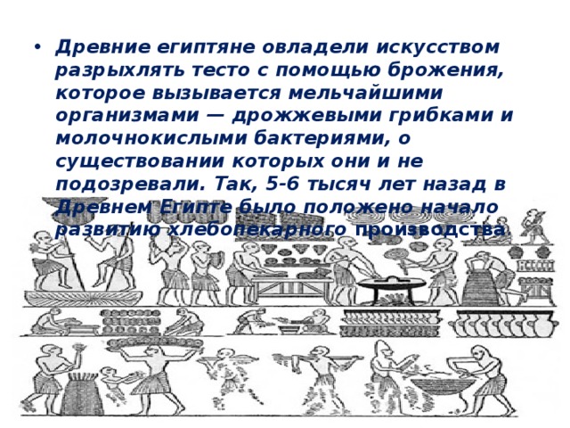 Древние египтяне овладели искусством разрыхлять тесто с помощью брожения, которое вызывается мельчайшими организмами — дрожжевыми грибками и молочнокислыми бактериями, о существовании которых они и не подозревали. Так, 5-6 тысяч лет назад в Древнем Египте было положено начало развитию хлебопекарного производства .