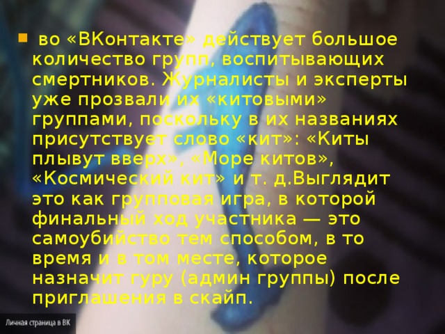   во «ВКонтакте» действует большое количество групп, воспитывающих смертников. Журналисты и эксперты уже прозвали их «китовыми» группами, поскольку в их названиях присутствует слово «кит»: «Киты плывут вверх», «Море китов», «Космический кит» и т. д.Выглядит это как групповая игра, в которой финальный ход участника — это самоубийство тем способом, в то время и в том месте, которое назначит гуру (админ группы) после приглашения в скайп.