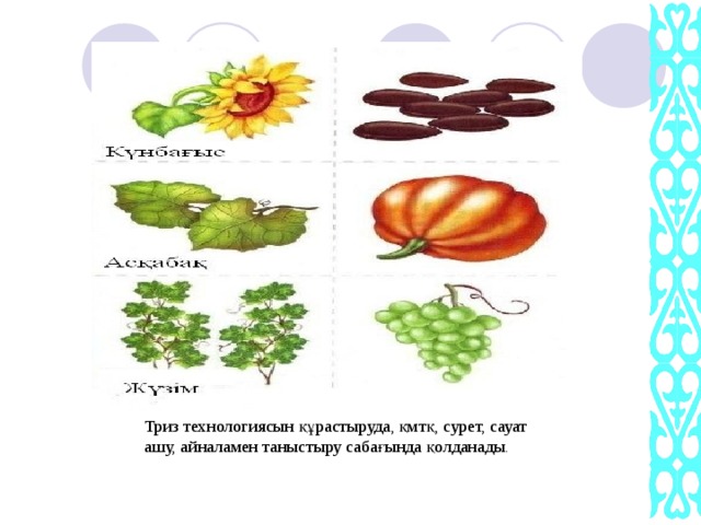 Триз технологиясын құрастыруда, қмтқ, сурет, сауат ашу, айналамен таныстыру сабағында қолданады .