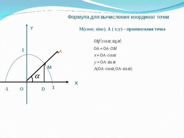 Формула для вычисления координат точки Y М(сosα; sinα). А ( x;y) – произвольная точка 1 A α M X X 1 O -1 D
